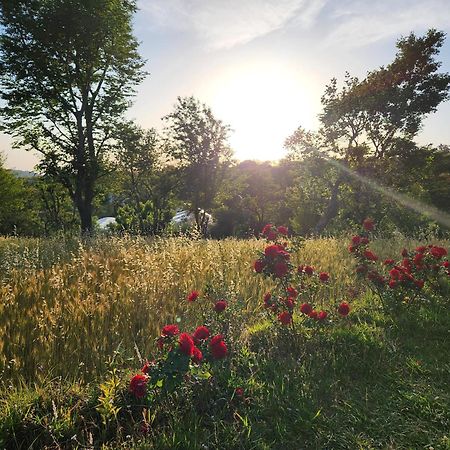 Hipostel Bir - Stay And Cafe Pālampur Екстериор снимка